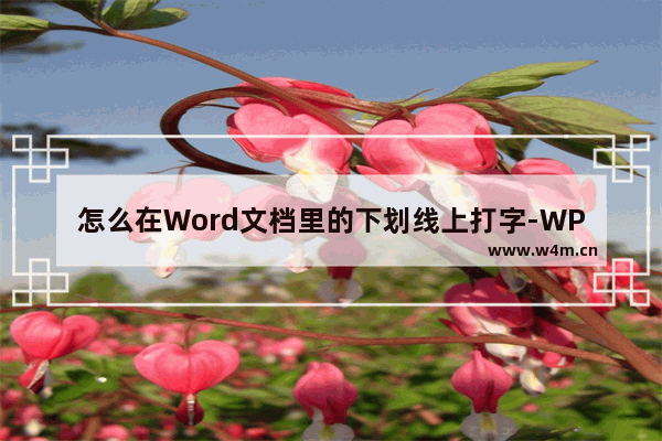 怎么在Word文档里的下划线上打字-WPS文字在下划线上编辑文字的方法