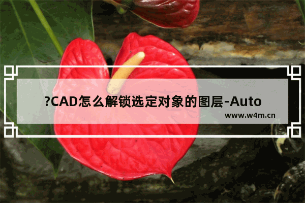 ?CAD怎么解锁选定对象的图层-AutoCAD中解锁图层的方法教程