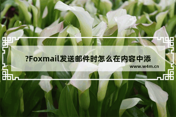 ?Foxmail发送邮件时怎么在内容中添加表情符号-Foxmail邮箱中插入表情符号的方法教程