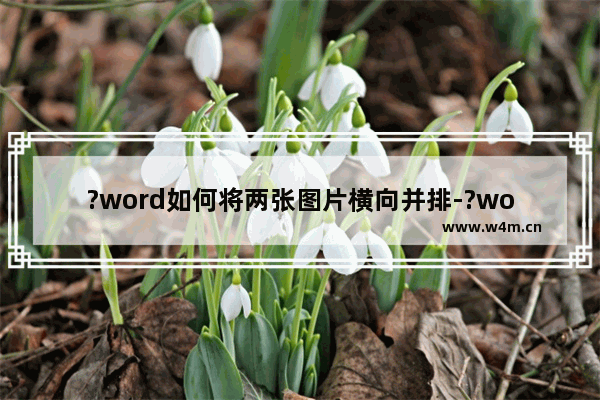 ?word如何将两张图片横向并排-?word将两张图片水平并排在一起的方法