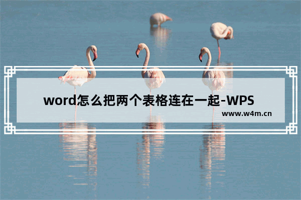 word怎么把两个表格连在一起-WPS Word将两个表格合在一起的方法