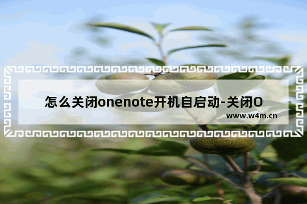 怎么关闭onenote开机自启动-关闭OneNote开机自动启动的方法