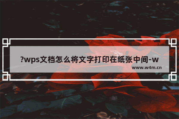 ?wps文档怎么将文字打印在纸张中间-wps文档将页面上的文字居中打印下来的方法