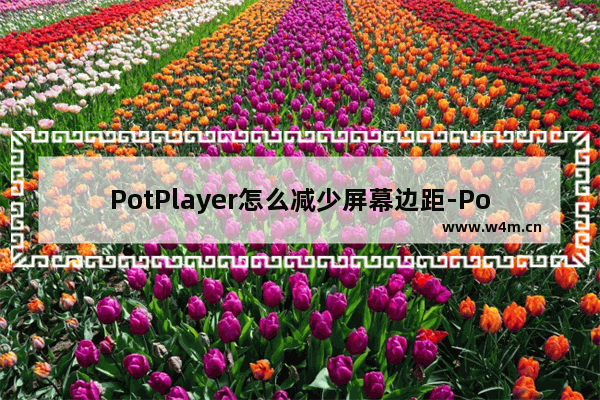 PotPlayer怎么减少屏幕边距-PotPlayer减少屏幕边距的方法