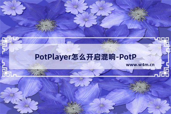 PotPlayer怎么开启混响-PotPlayer播放器开启混响的方法