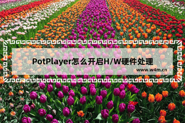 PotPlayer怎么开启H/W硬件处理图像属性-PotPlayer开启H/W硬件处理图像属性的方法