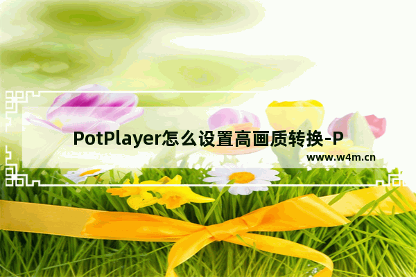 PotPlayer怎么设置高画质转换-PotPlayer播放器开启高画质转换的方法