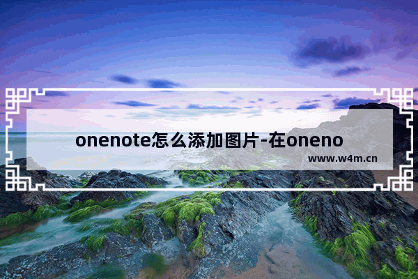 onenote怎么添加图片-在onenote中插入图片的方法