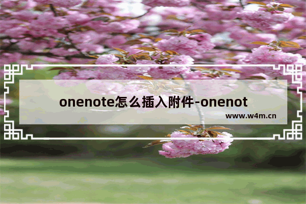 onenote怎么插入附件-onenote添加PDF附件文件的方法