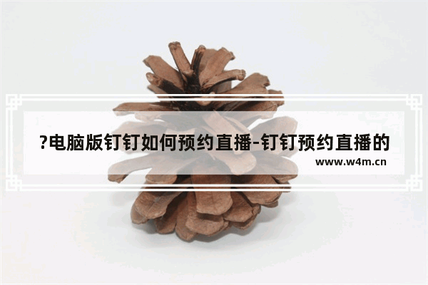 ?电脑版钉钉如何预约直播-钉钉预约直播的设置方法