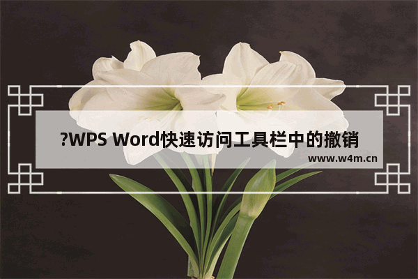 ?WPS Word快速访问工具栏中的撤销图标不见了怎么办-WPS文档调出撤销图标的方法教程