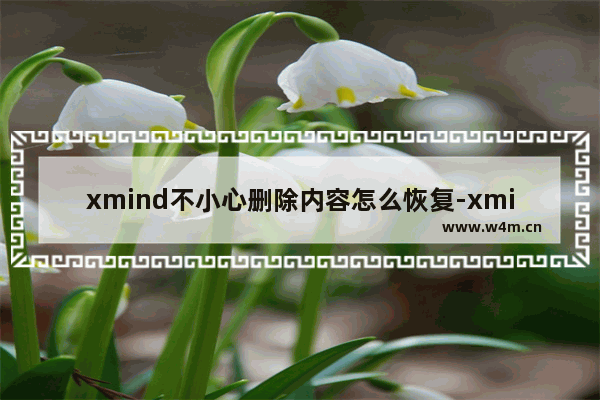 xmind不小心删除内容怎么恢复-xmind找回误删思维导图的方法