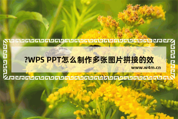 ?WPS PPT怎么制作多张图片拼接的效果-WPS演示文稿中进行图片拼接操作的方法教程