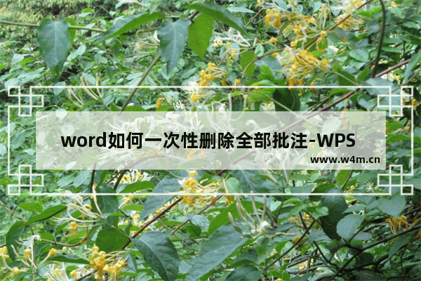 word如何一次性删除全部批注-WPS Word文档中一次性删除全部批注的方法