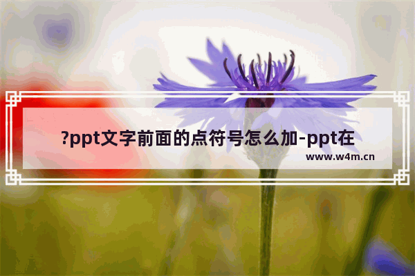 ?ppt文字前面的点符号怎么加-ppt在每段文字开头加上点的方法