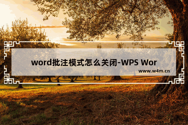 word批注模式怎么关闭-WPS Word文档把批注格式去掉的方法