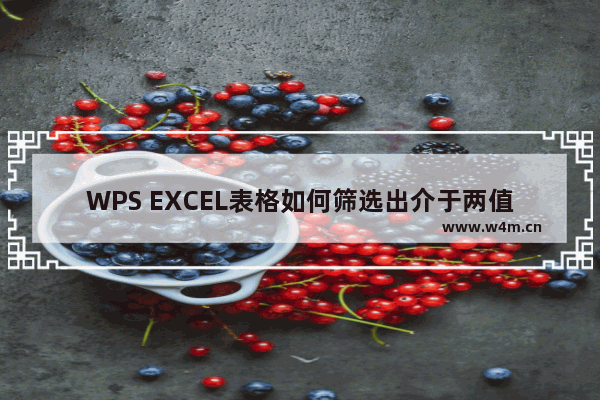 WPS EXCEL表格如何筛选出介于两值之间的数据-WPS Excel用颜色标记出介于两值之间的数据的方法