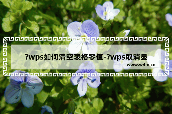 ?wps如何清空表格零值-?wps取消显示单元格中0值的方法