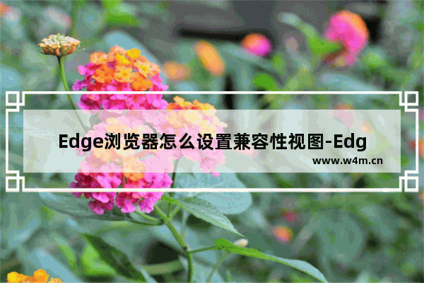 Edge浏览器怎么设置兼容性视图-Edge浏览器设置兼容性视图的方法