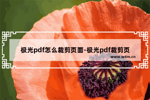 极光pdf怎么裁剪页面-极光pdf裁剪页面的方法