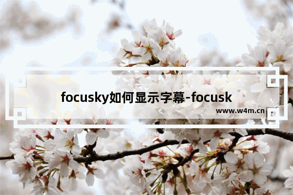 focusky如何显示字幕-focusky显示字幕的方法