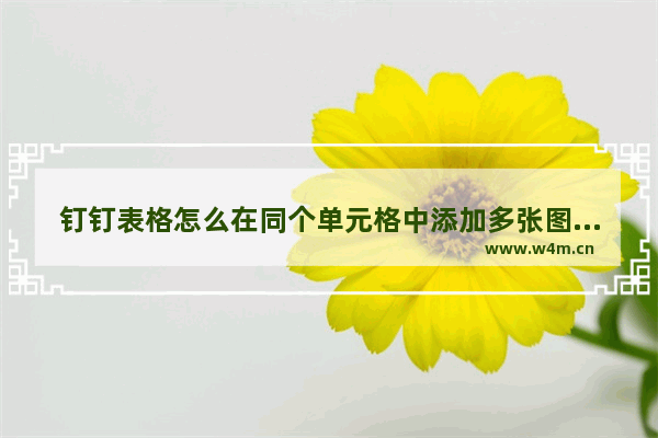 钉钉表格怎么在同个单元格中添加多张图片-电脑版钉钉表格在同个单元格中添加多张图片的方法