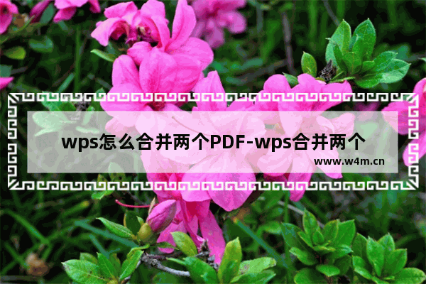 wps怎么合并两个PDF-wps合并两个pdf文件为一个文件的方法