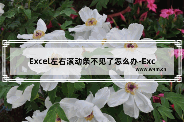 Excel左右滚动条不见了怎么办-Excel左右滚动条不见了的解决方法