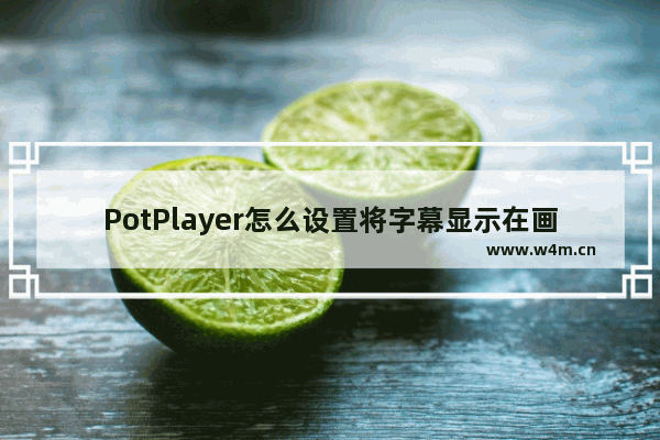 PotPlayer怎么设置将字幕显示在画面底部-PotPlayer将字幕显示在画面底部的方法