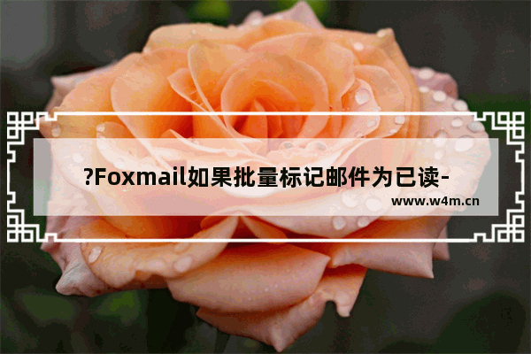 ?Foxmail如果批量标记邮件为已读-Foxmail邮箱中一次性将多封邮件标记为已读状态的方法教程