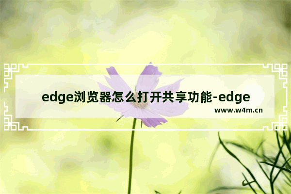 edge浏览器怎么打开共享功能-edge浏览器开启共享功能的方法