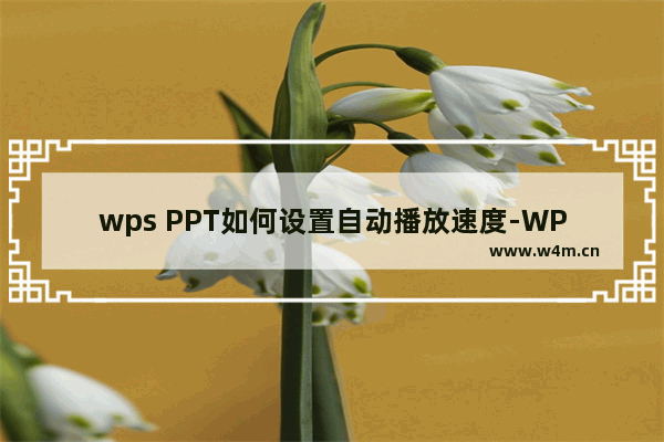 wps PPT如何设置自动播放速度-WPS PPT幻灯片设置自动播放速度的方法