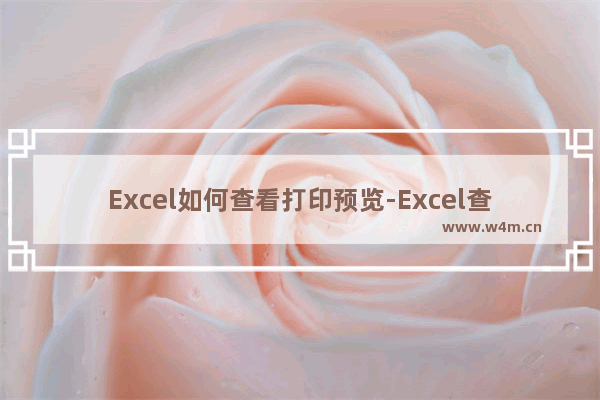 Excel如何查看打印预览-Excel查看打印预览的方法