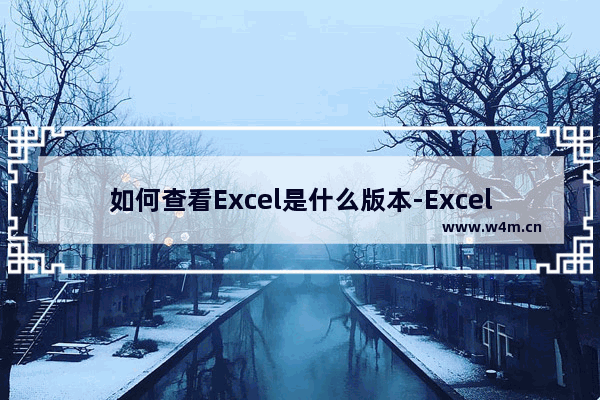 如何查看Excel是什么版本-Excel查看是什么版本的方法