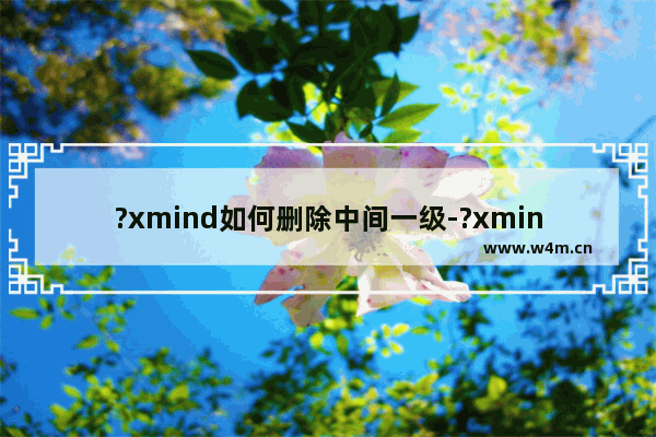 ?xmind如何删除中间一级-?xmind删除中间的分支主题并保留后面内容的方法