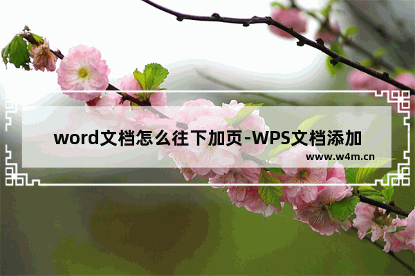 word文档怎么往下加页-WPS文档添加空白页面的方法