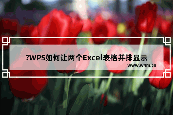 ?WPS如何让两个Excel表格并排显示-WPS表格同时查看两个工作簿的方法教程