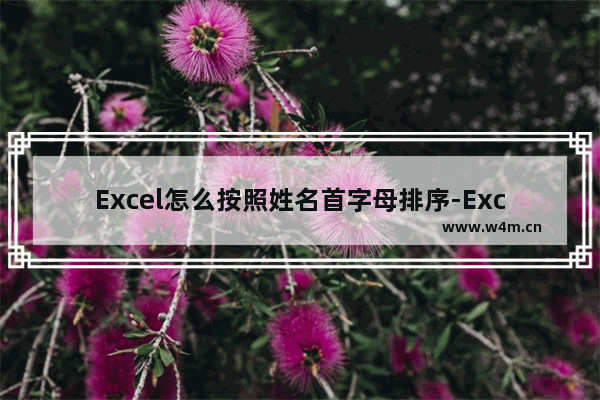 Excel怎么按照姓名首字母排序-Excel按照姓名首字母排序的方法