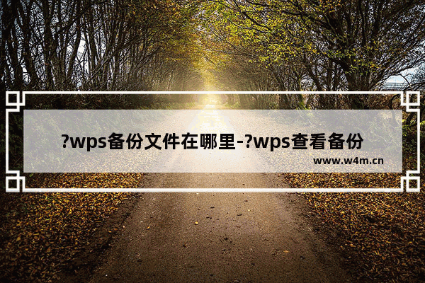 ?wps备份文件在哪里-?wps查看备份文件更改备份存放位置的方法