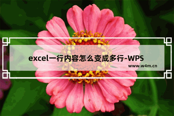 excel一行内容怎么变成多行-WPS excel中一个单元格中内容变成多行显示的方法