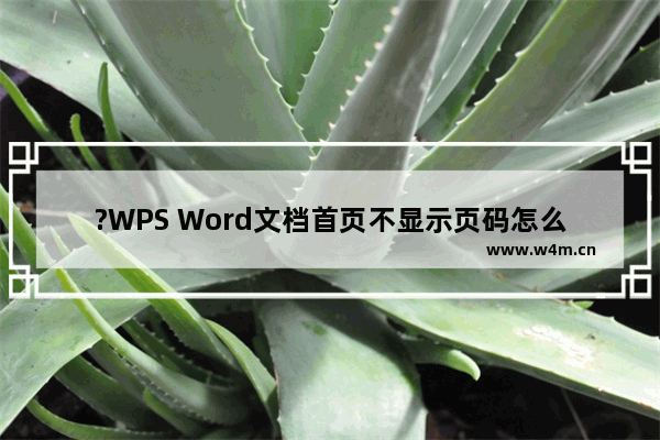 ?WPS Word文档首页不显示页码怎么设置-WPS文档中设置首页不要页码的方法教程