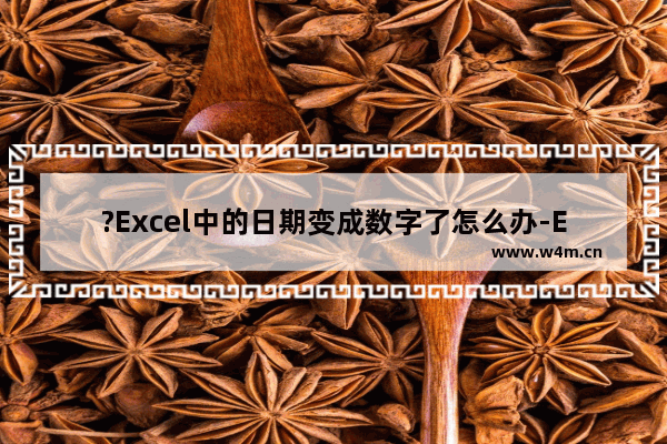 ?Excel中的日期变成数字了怎么办-Excel表格中解决日期变成其他数字的方法教程