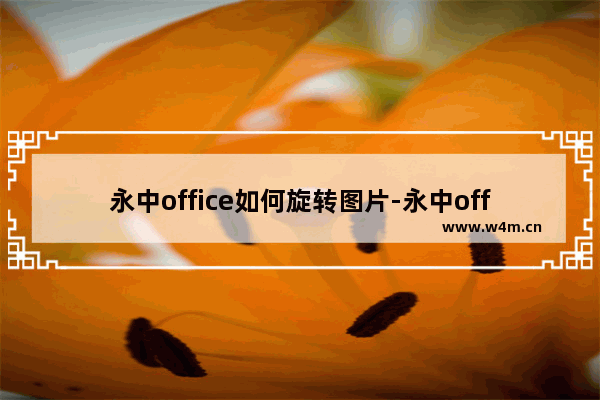 永中office如何旋转图片-永中office旋转ppt里面图片的方法