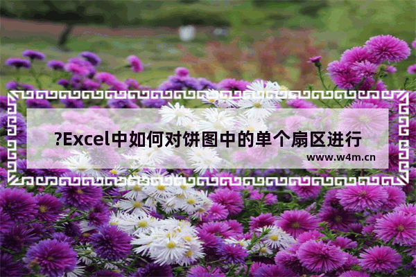 ?Excel中如何对饼图中的单个扇区进行分离-Excel表格中将某个扇区分离出来的方法教程