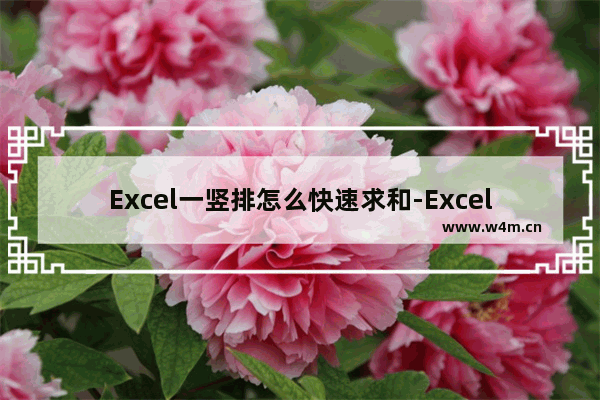 Excel一竖排怎么快速求和-Excel一竖排求和的方法