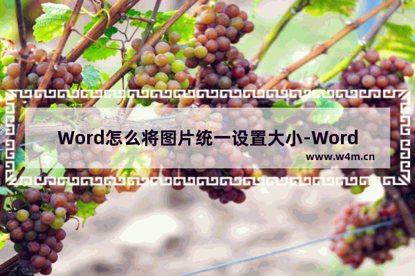 Word怎么将图片统一设置大小-Word图片统一设置大小的方法