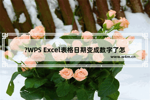 ?WPS Excel表格日期变成数字了怎么办-WPS表格解决日期变成其他数字的方法教程