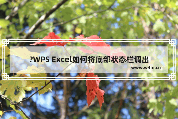 ?WPS Excel如何将底部状态栏调出来-WPS表格调出底下状态栏的方法教程