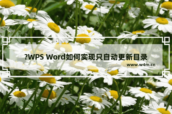 ?WPS Word如何实现只自动更新目录页码-WPS文档中更新目录页码的方法教程