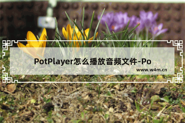 PotPlayer怎么播放音频文件-PotPlayer播放音频文件的方法